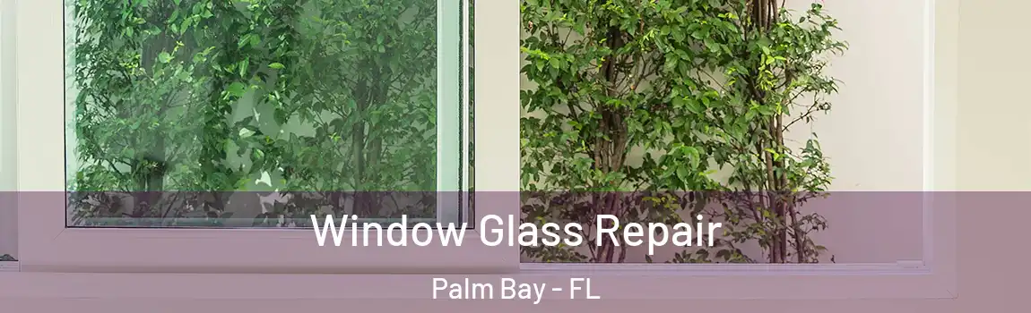  Window Glass Repair Palm Bay - FL